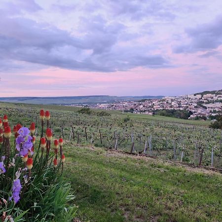 Appartamento L’échappée Bulles Épernay Esterno foto