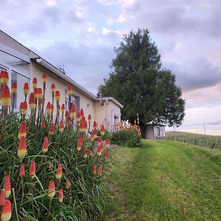 Appartamento L’échappée Bulles Épernay Esterno foto