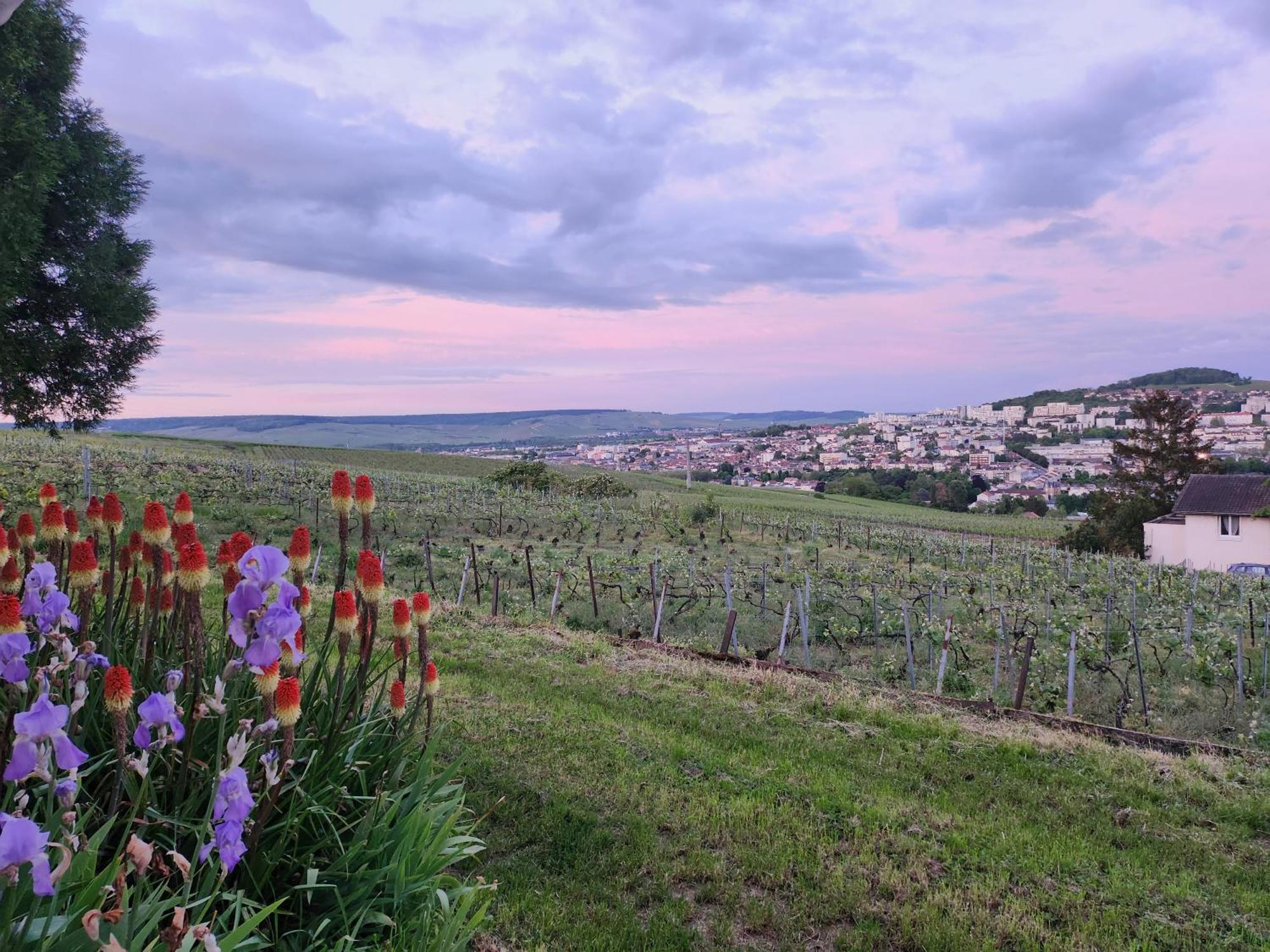 Appartamento L’échappée Bulles Épernay Esterno foto