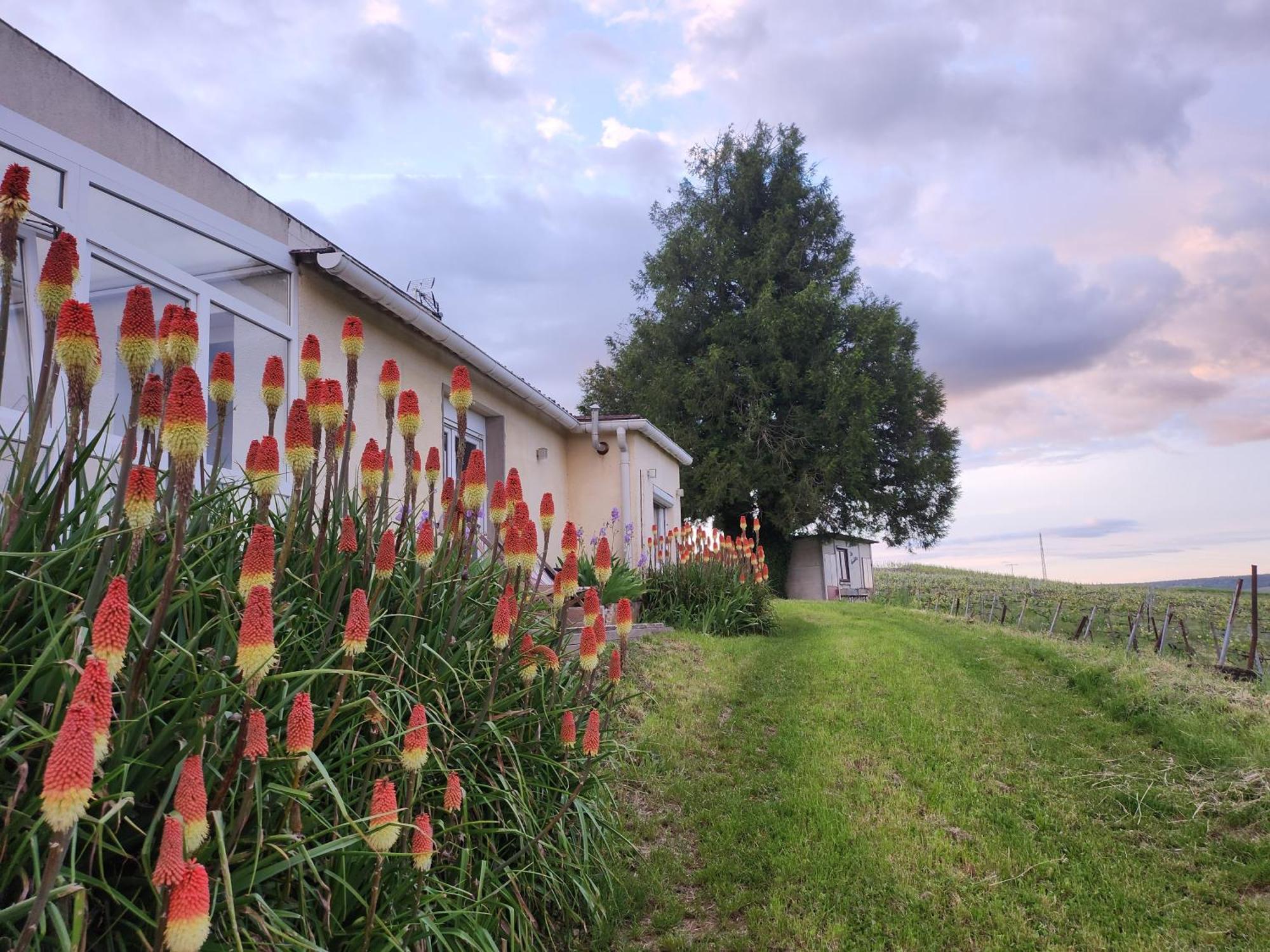 Appartamento L’échappée Bulles Épernay Esterno foto